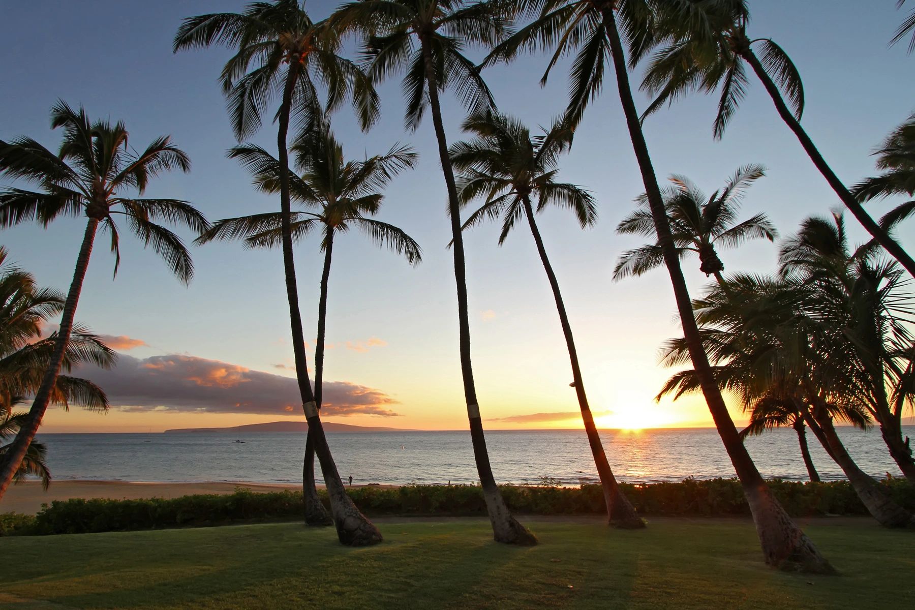 Maui Seller's Guide Maui Real Estate Carol Russell